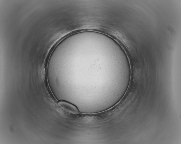 X0000111801268200908061150
