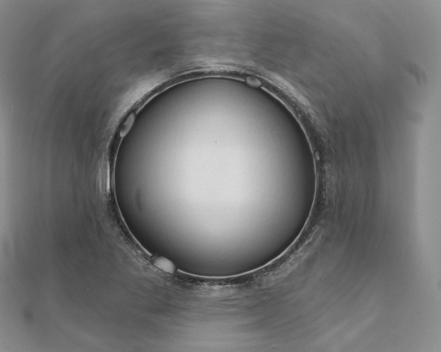 X0000111801269200908061150