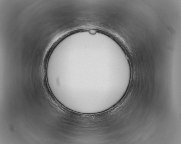 X0000111801270200908061150