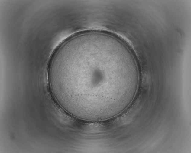 X0000111801271200908061150