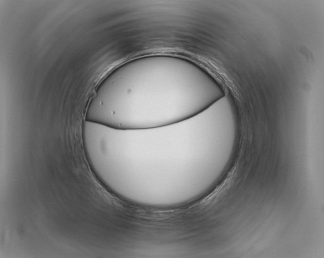 X0000111801273200908061150