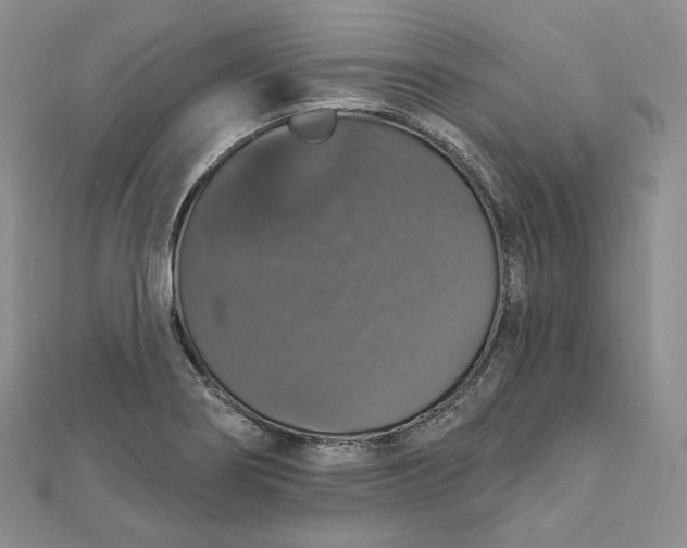 X0000111801274200908061150