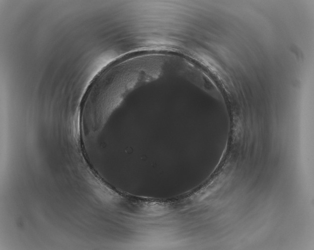 X0000111801275200908061150