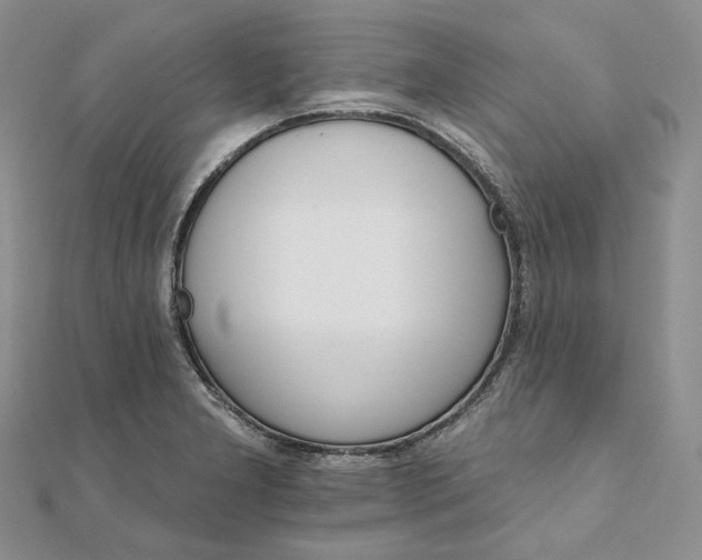 X0000111801277200908061150