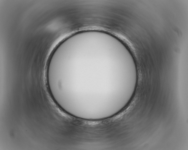 X0000111801278200908061150