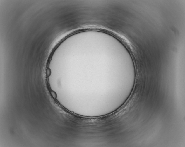 X0000111801279200908061150