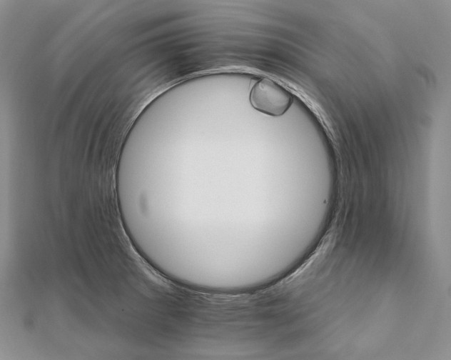 X0000111801281200908061150