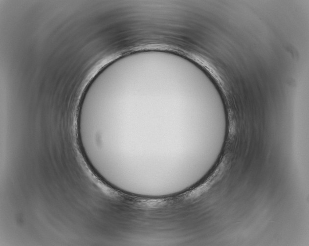 X0000111801282200908061150