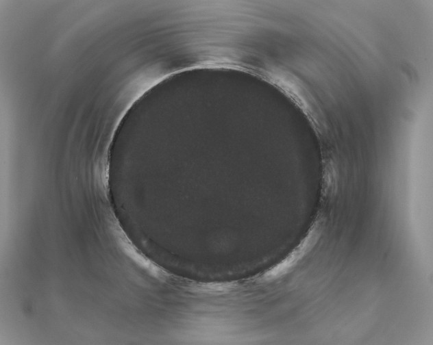 X0000111801284200908061150