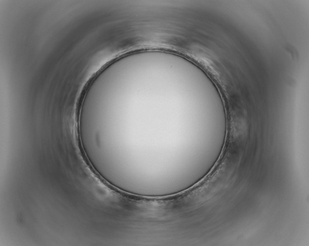 X0000111801286200908061150