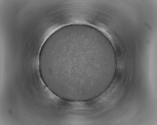X0000111801287200908061150