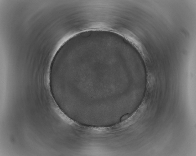 X0000111801288200908061150