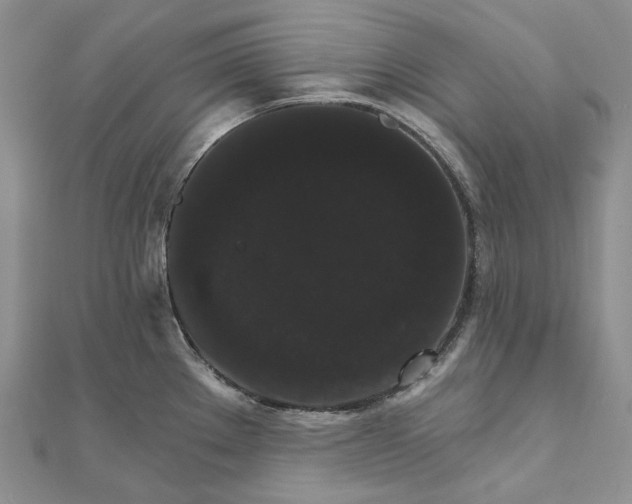 X0000111801289200908061150