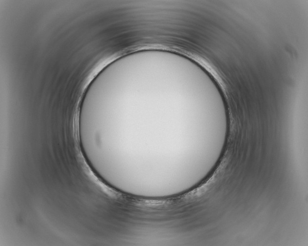 X0000111801290200908061150