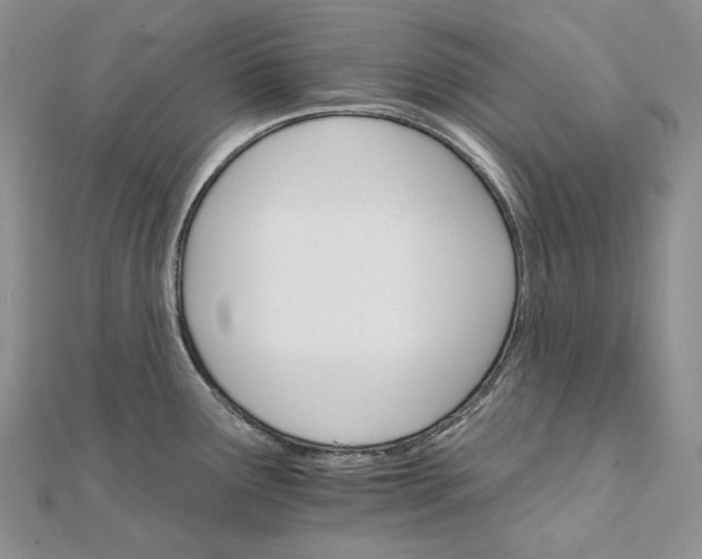 X0000111801291200908061150