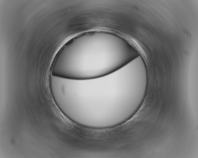 X0000111801292200908061150
