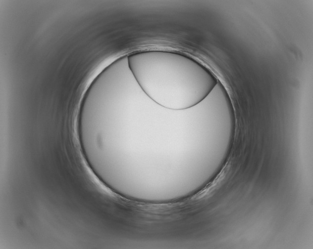 X0000111801293200908061150