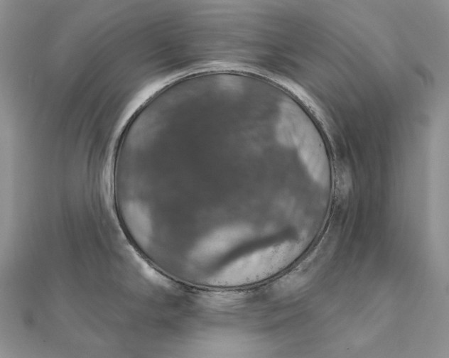 X0000111801294200908061150