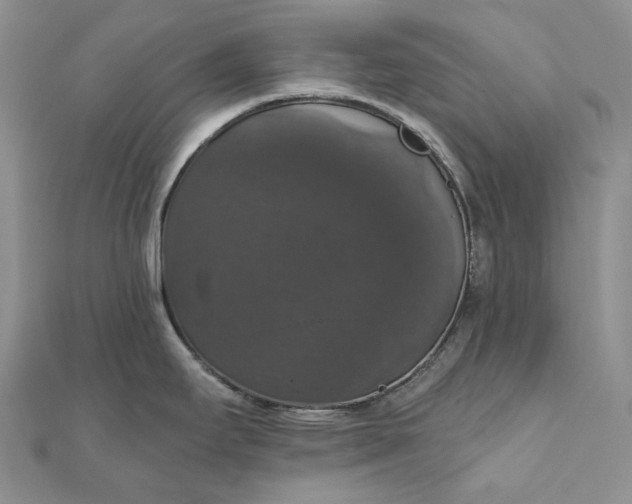 X0000111801295200908061150