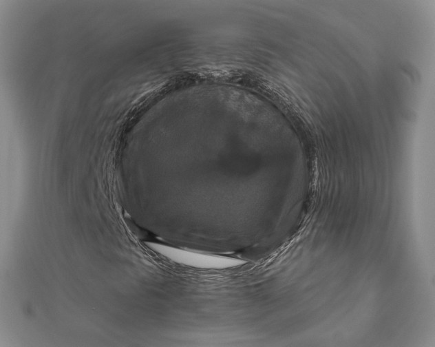X0000111801297200908061149