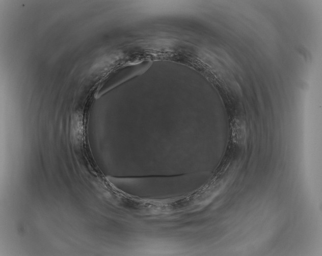 X0000111801298200908061149