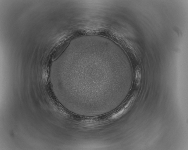 X0000111801300200908061149