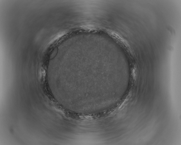 X0000111801302200908061149