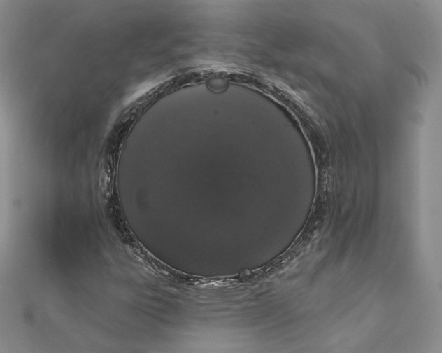 X0000111801303200908061149