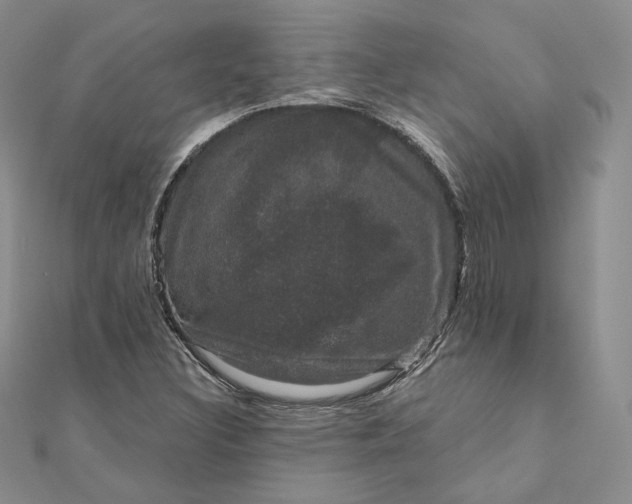 X0000111801308200908061149