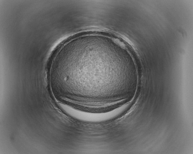 X0000111801310200908061149