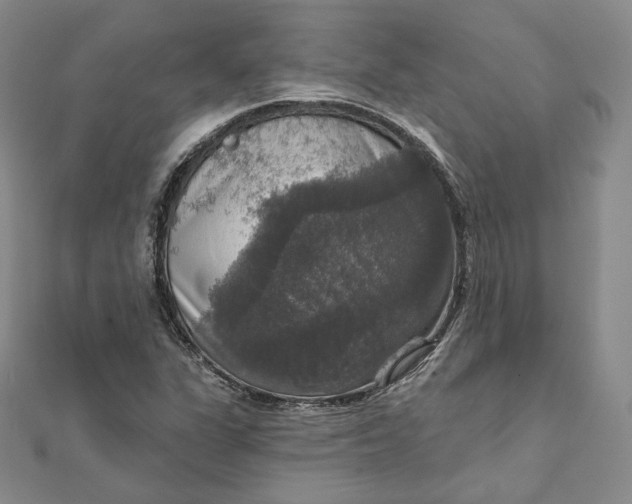 X0000111801311200908061149