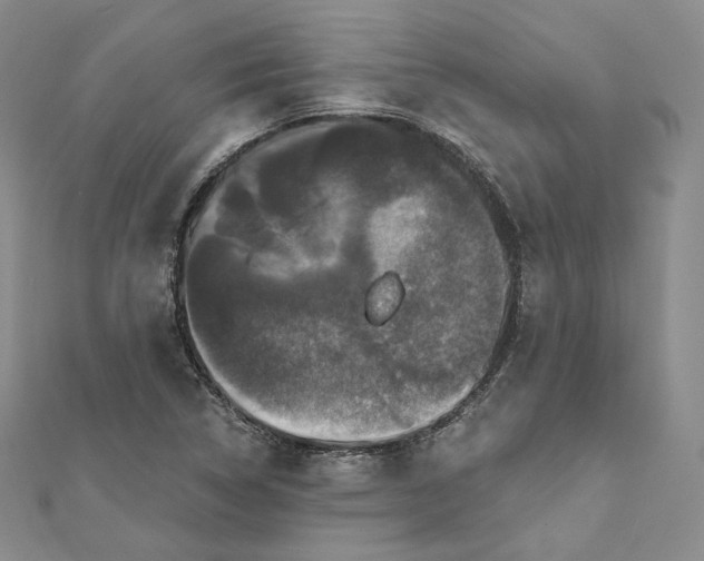 X0000111801314200908061149