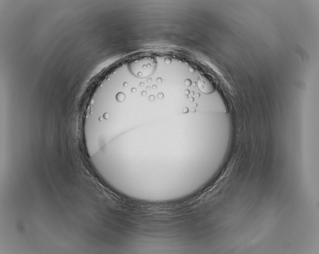 X0000111801315200908061149