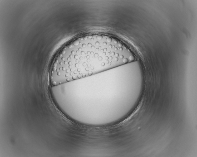 X0000111801317200908061150