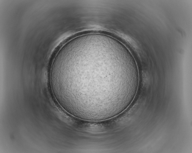 X0000111801318200908061150