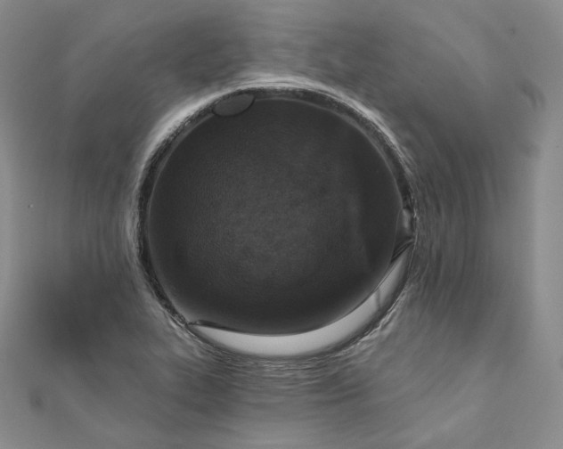 X0000111801319200908061150