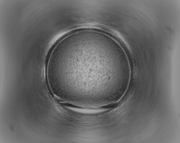 X0000111801320200908061150