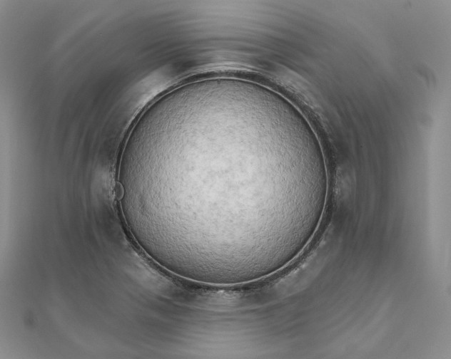 X0000111801321200908061150