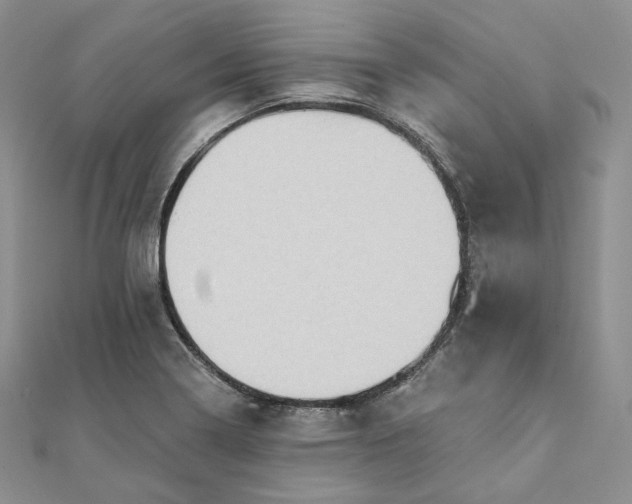 X0000111801322200908061150