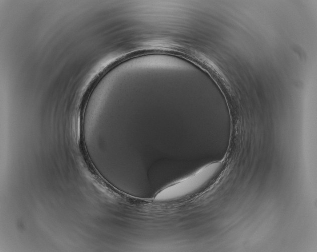 X0000111801323200908061150