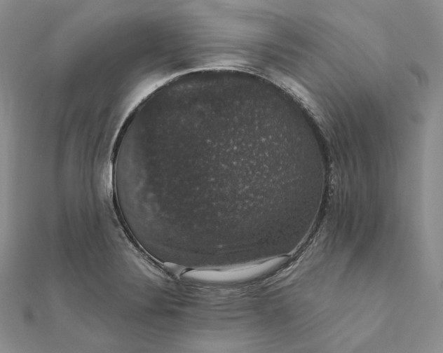 X0000111801324200908061150