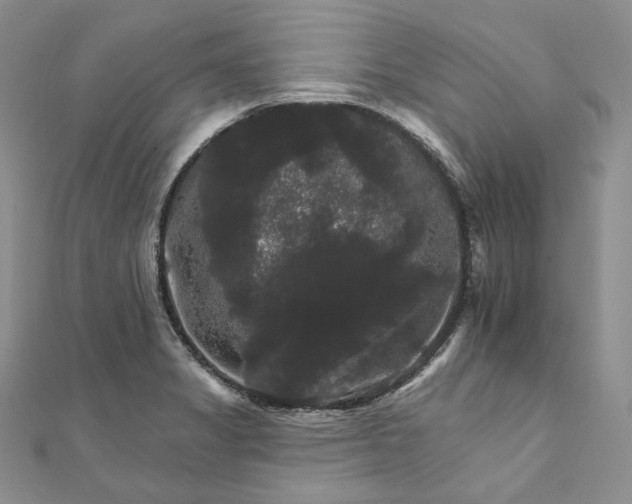 X0000111801325200908061150