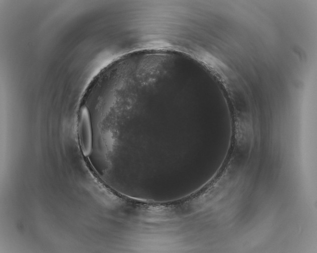 X0000111801326200908061150