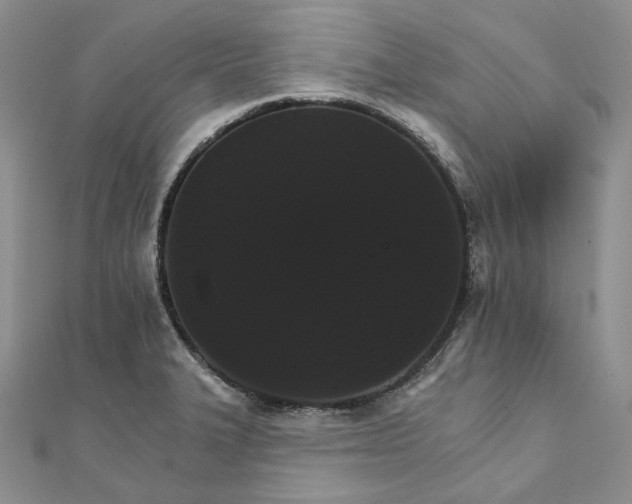 X0000111801327200908061150