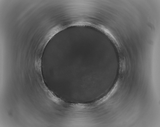 X0000111801329200908061150