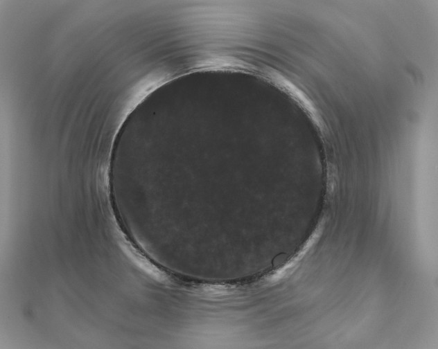 X0000111801330200908061150