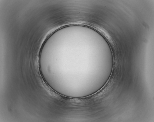 X0000111801332200908061150