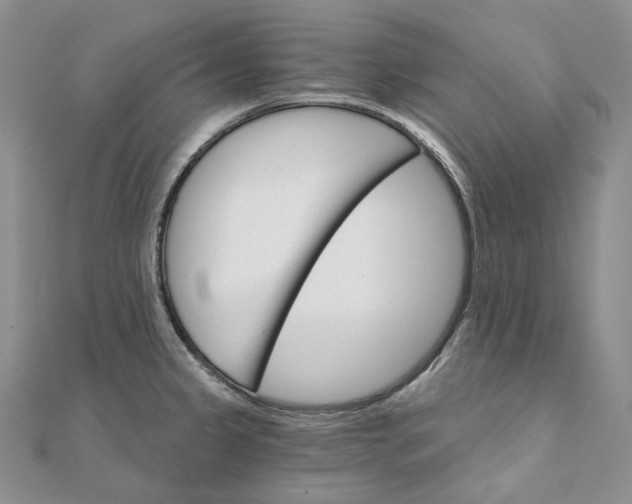 X0000111801333200908061150