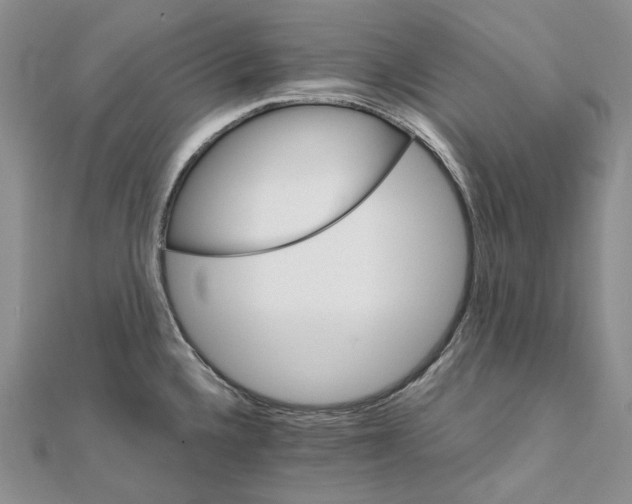 X0000111801336200908061150