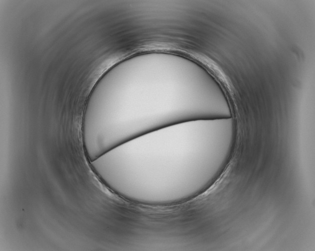 X0000111801337200908061150